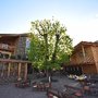Photo of Hotel Gasthof Höllriegl