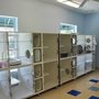 Photo of Forever Vets Pet Resort at Pacetti