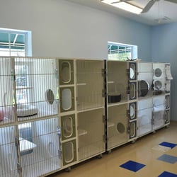 Forever Vets Pet Resort at Pacetti - Kitty condos are tucked away from the canines, and allow for feline family members to move in and out of individual quarters!