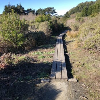 San Bruno Mountain State & County Park - Many Improvements on the Bog trail- elevated trail... along with benches ... great to see! - Parks Near Me - Brisbane, California San Bruno Mountain State & County Park - Many Improvements on the Bog trail- elevated trail... along with benches ... great to see! - Parks Near Me - Brisbane, California