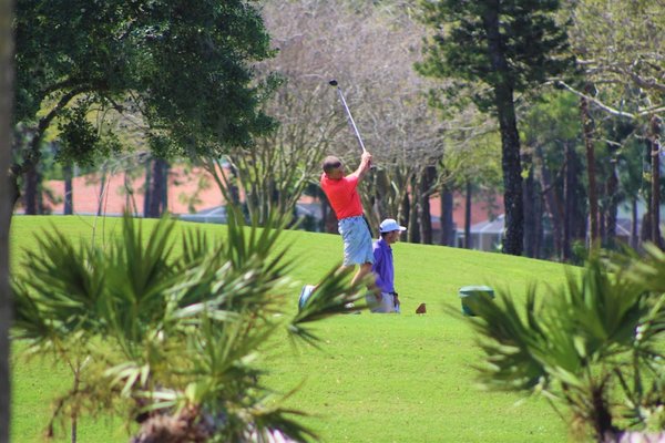 Palmetto-Pine Country Club by null