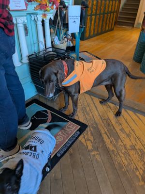 Dog Mountain, Home of Stephen Huneck Gallery by null