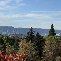 First Nature Tours - View of Portland