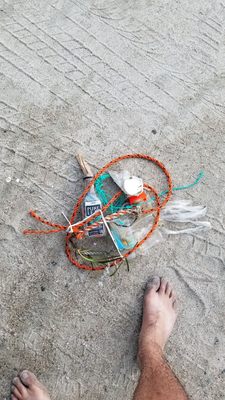 South Shore Beach by null