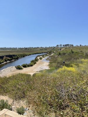 Upper Newport Bay Nature Preserve by null