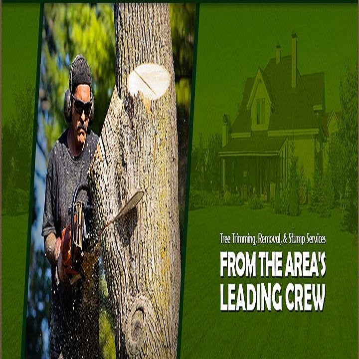 B & R Tree Service - tree service in Fort Wayne, IN