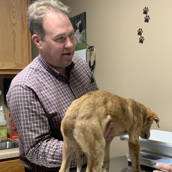 West Loop Animal Clinic - Dr. Richards is so very knowledgeable and thorough every time we see him! - Veterinarians Near Me - Lufkin, Texas West Loop Animal Clinic - Dr. Richards is so very knowledgeable and thorough every time we see him! - Veterinarians Near Me - Lufkin, Texas