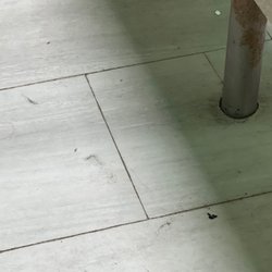 MUV Fitness Spokane Valley - Floors are filthy