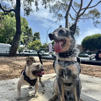 Bixby Dog Park - Dog Parks Near Me - Long Beach, California Bixby Dog Park - Dog Parks Near Me - Long Beach, California