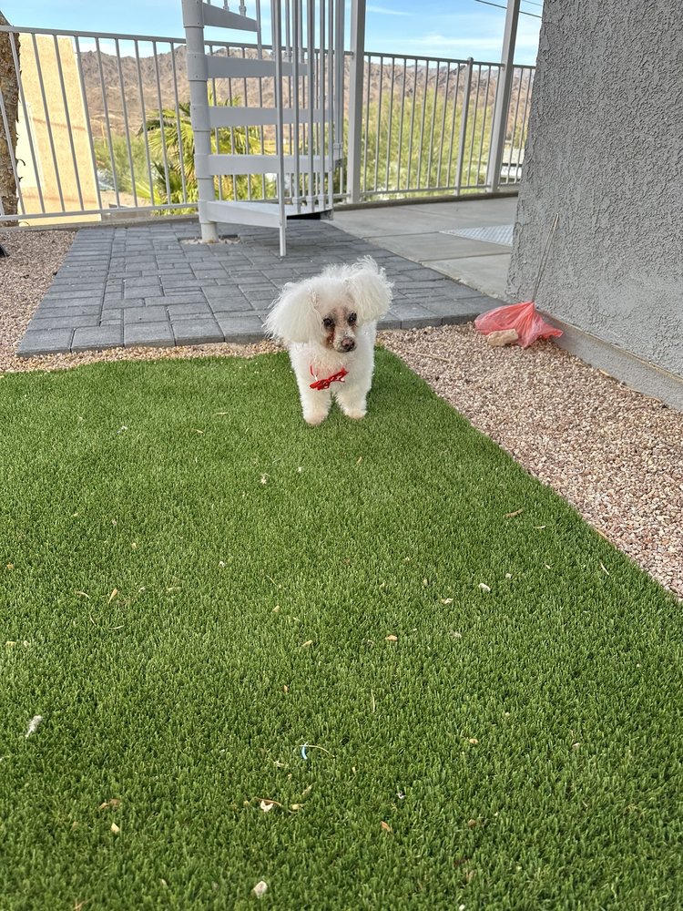 ST FRANCIS VETERINARY CLINIC Updated September 2024 310 County Rd