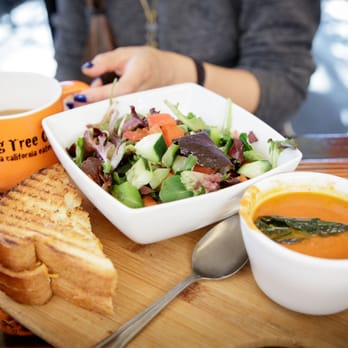 Fig Tree Cafe - Soup Sandwich Salad Combo Option $8.95 - Breakfast & Brunch Near Me - San Diego, California Fig Tree Cafe - Soup Sandwich Salad Combo Option $8.95 - Breakfast & Brunch Near Me - San Diego, California