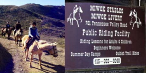 Linda Rubio Horse Expert Witness Logo