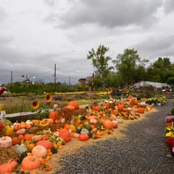 Bountiful Gardens - A display of the store entrance during Fall.