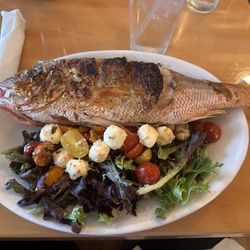 Low Tide Bar and Grill - Whole yellowtail with "heirlooms" salad