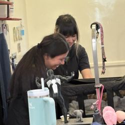 Beach Paws Pet Salon - Two smiling/loving groomers attending for a cat nail trim is such great service!