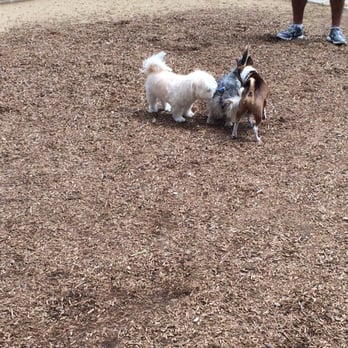 LA Live - Dog Parks Near Me - Los Angeles, California LA Live - Dog Parks Near Me - Los Angeles, California
