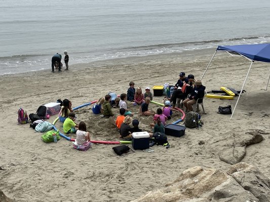 Morro Bay State Park by null