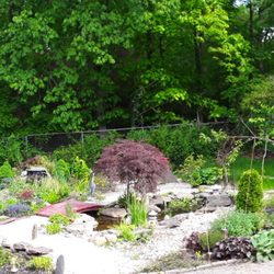 Michael Strauss Violin and Viola Studio - Beautiful gardens for relaxation and inspiration.