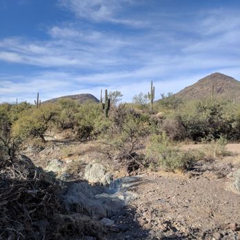 Desert Wolf Tours - Tours Near Me - Phoenix, Arizona