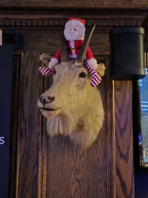 Beekman Ale House by null