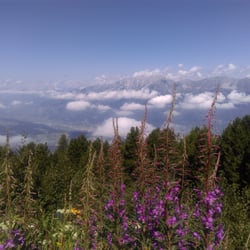 Patscherkofelbahnen - Alpengarten