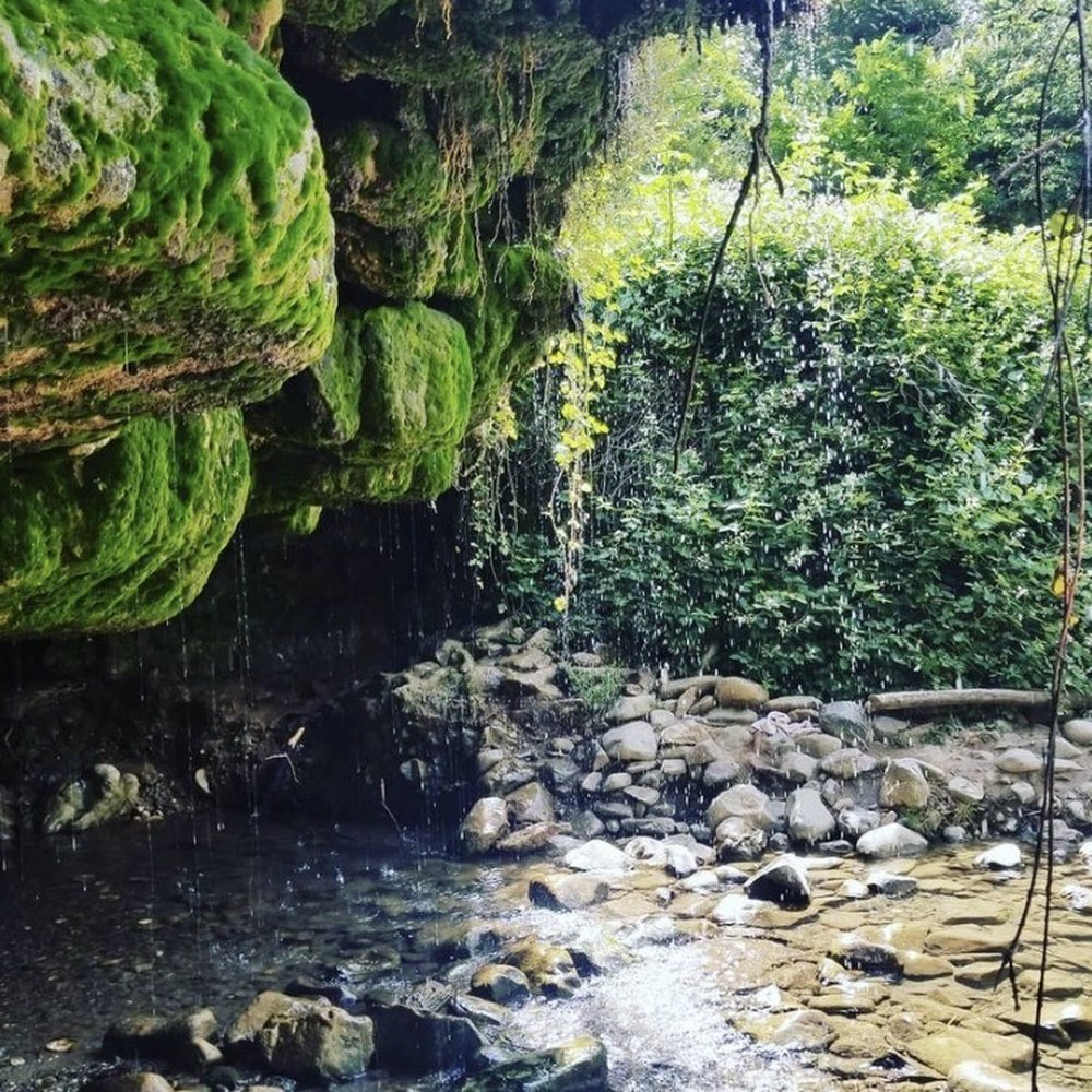 Entrance of cave Entrance of cave