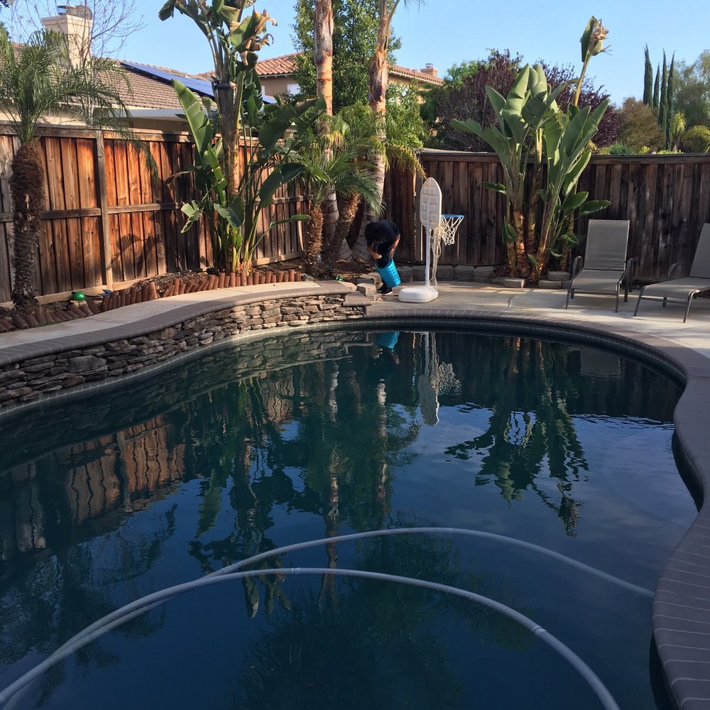 Dynasty Pools - Water clarity better and pump fully functioning within hours of Jeff's repairs. - Pool & Hot Tub Service Near Me - Quail Valley, California Dynasty Pools - Water clarity better and pump fully functioning within hours of Jeff's repairs. - Pool & Hot Tub Service Near Me - Quail Valley, California