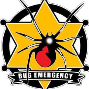 Bug Emergency Pest Control - bug emergency pest control - Pest Control Near Me Bug Emergency Pest Control - bug emergency pest control - Pest Control Near Me
