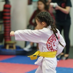 Flying Kick Martial Arts & Fitness