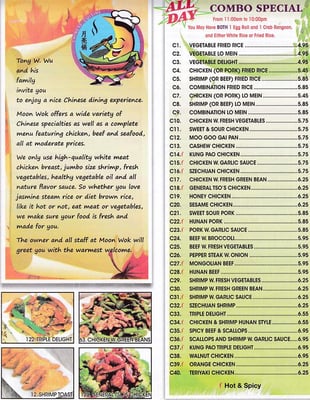 Moon wok by null