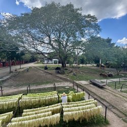 Hacienda Viva Sotuta de Peon