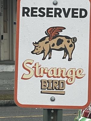 Strange Bird Savannah by null