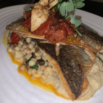 OLIVIA - Italian Near Me - Tampa, Florida OLIVIA - Italian Near Me - Tampa, Florida