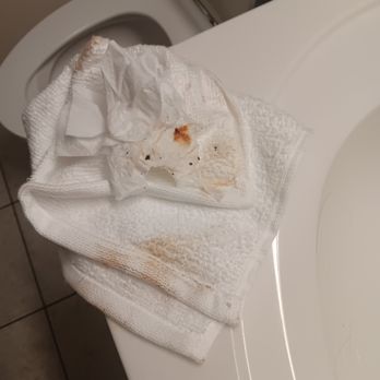 Super 8 by Wyndham Batesville - What we found in the tub - Hotels Near Me - Batesville, Arkansas