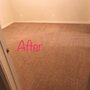 Photo of Cambridge Carpet Care