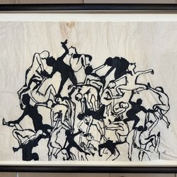 Zebra One Gallery - This is the first fix  from Zebra One,
