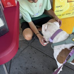 Pup Cup