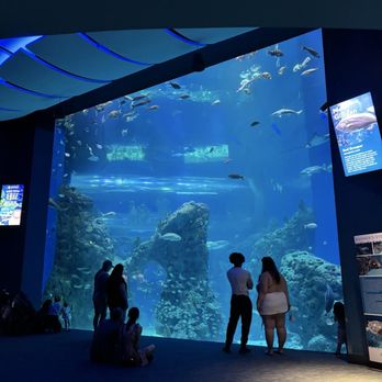 Mississippi Aquarium - Aquariums Near Me - Gulfport, Mississippi