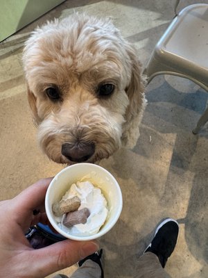 Mainstay Provisions by null