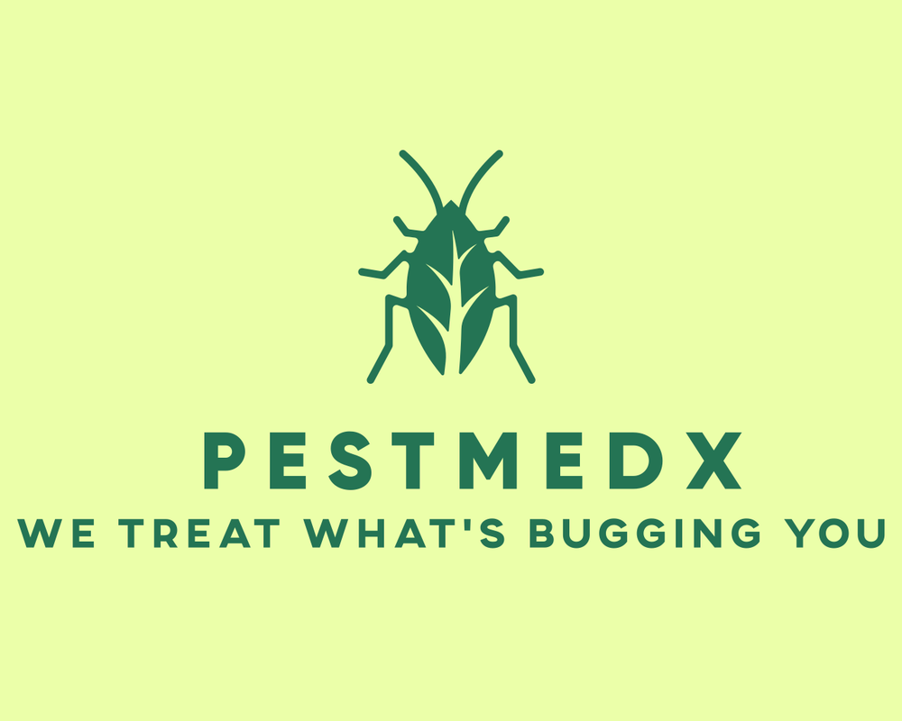 PESTMEDX Clearwater, Florida Updated October 2024 Request a Quote