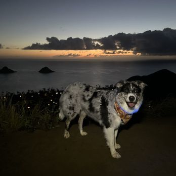 Lanikai Pillbox Hike - sunrise hike - Hiking Near Me - Kailua, Hawaii Lanikai Pillbox Hike - sunrise hike - Hiking Near Me - Kailua, Hawaii