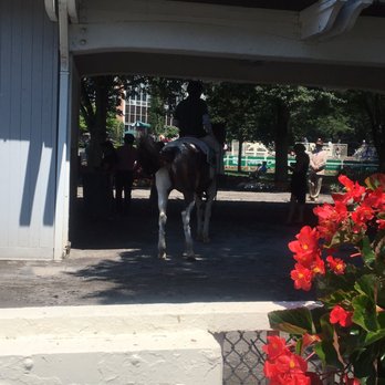 Belmont Park - Horses butt - Stadiums & Arenas Near Me - Elmont, New York