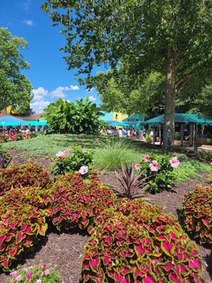 Water Country USA by null