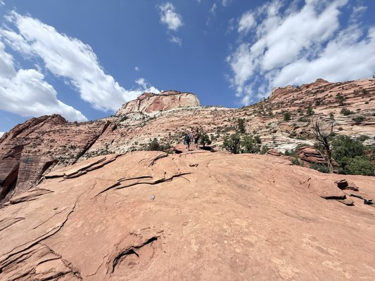 Observation Point by null