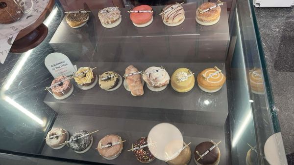 Blackbird Doughnuts Watertown by null
