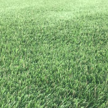 Turf Solutions - So real - Artificial Turf Near Me Turf Solutions - So real - Artificial Turf Near Me