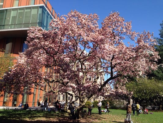 Barnard College by null