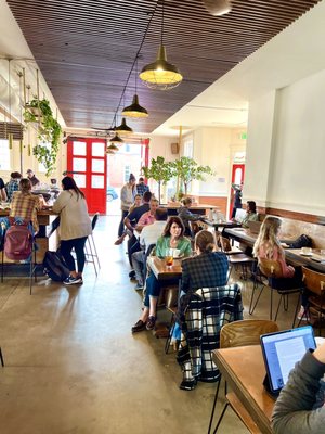 Steam Espresso Bar by null