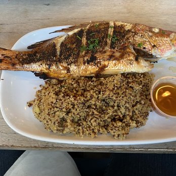 Acropolis Greek Taverna - Whole grilled Red Snapper with artichoke quinoa so Good - Greek Near Me - Riverview, Florida Acropolis Greek Taverna - Whole grilled Red Snapper with artichoke quinoa so Good - Greek Near Me - Riverview, Florida