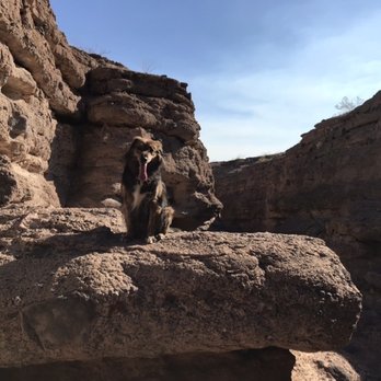 White Owl Canyon - Hiking Near Me - Boulder City, Nevada